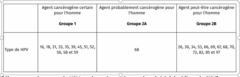 Fichier:Classement HPV.png